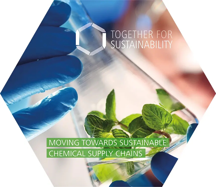 EcoVadis�J(r��n)�C